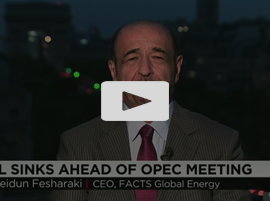 Oil Sinks Ahead of OPEC Meeting